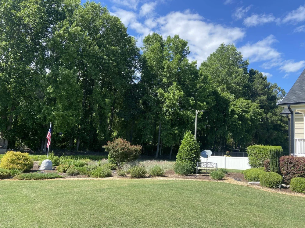 Well-maintained lawn with trees and garden in a residential backyard.